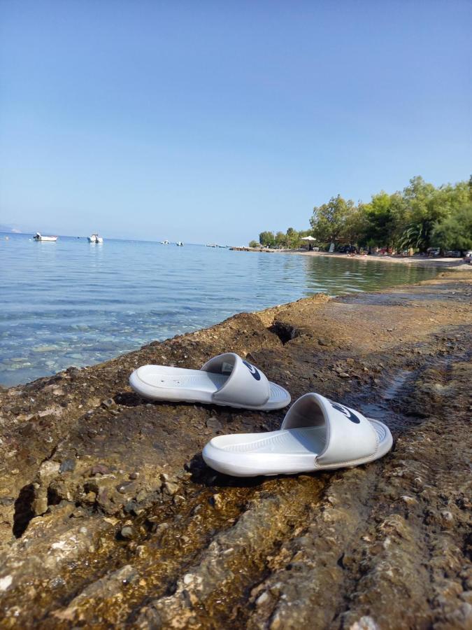 Moukas Seaside Apartments Romantico Σελιανίτικα Εξωτερικό φωτογραφία